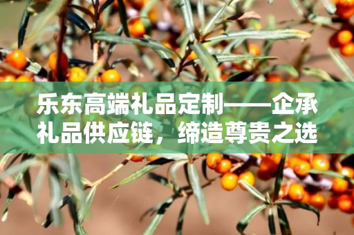 乐东高端礼品定制——企承礼品供应链，缔造尊贵之选